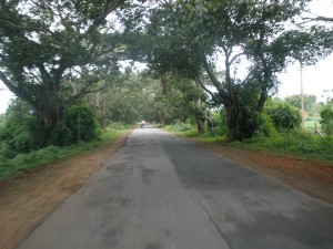 The Road to madikeri