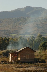 a solitary cottage in the northeast 